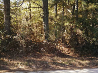 0 Mac Garner, Temple, GA 30179 