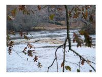 0 Limber Lost Trail, Cleveland, GA 30528 