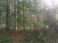 0 Wilderness Camp Road, White, GA 30184 