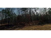 93 Evecliff Drive, Dallas, GA 30132 