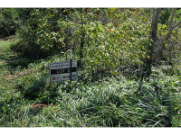 0 Cherry Grove Road, Ball Ground, GA 30107 