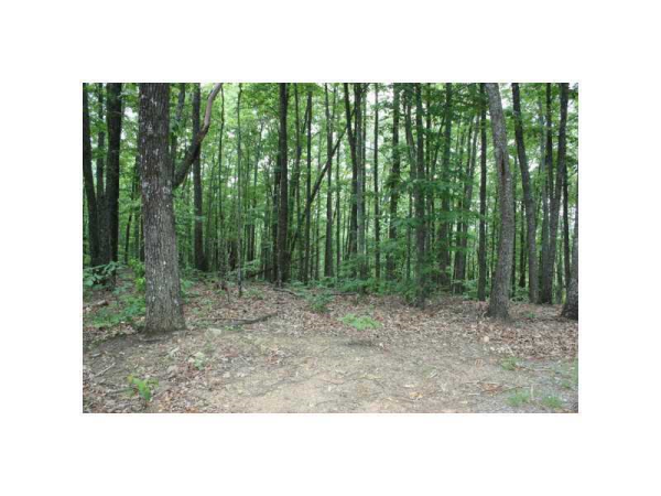 0 Woods Road, Talking Rock, GA 30175 