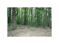 0 Woods Road, Talking Rock, GA 30175 