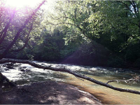 333 Cheek Road, Monroe, GA 30655 