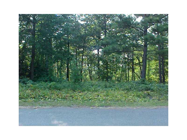 0 Addington Lane, Waleska, GA 30183 