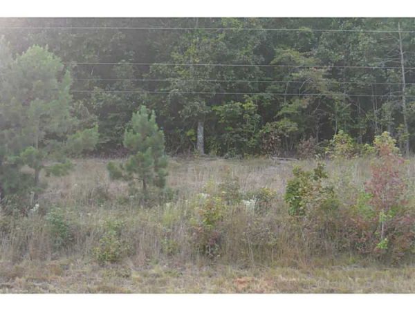 0 Ga Hwy 120 Highway, Tallapoosa, GA 30176 