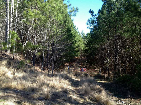 9 Damascus Road, Jasper, GA 30143 