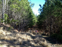 9 Damascus Road, Jasper, GA 30143 