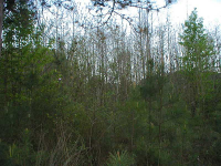 1973 Barton Bridge Road, Monroe, GA 30655 