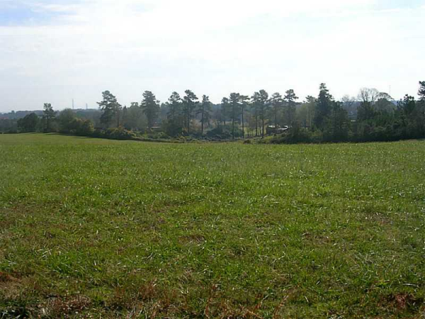 225 Hilltop Road, Roopville, GA 30170 