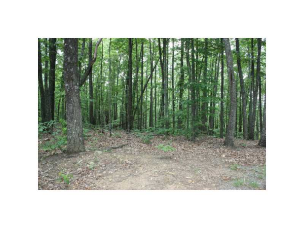 0 Woods Drive, Talking Rock, GA 30175 