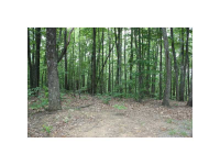 0 Woods Drive, Talking Rock, GA 30175 