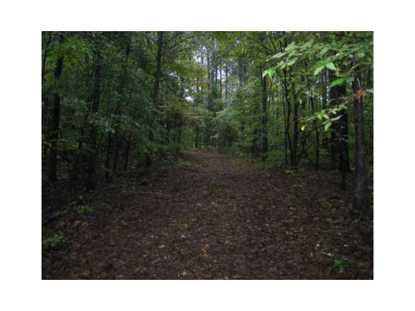 621 Hall Station Road, Kingston, GA 30145 