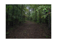 621 Hall Station Road, Kingston, GA 30145 