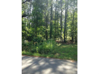 0 Ruff Road, Rockmart, GA 30153 