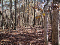 0 Ray Mountain Road, Jasper, GA 30143 