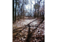 0 Old Kerns Road, Dawsonville, GA 30534 