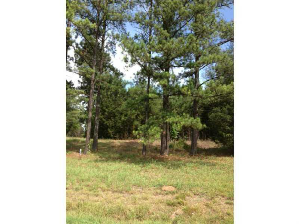 8 Buttermilk Road, Cave Spring, GA 30124 