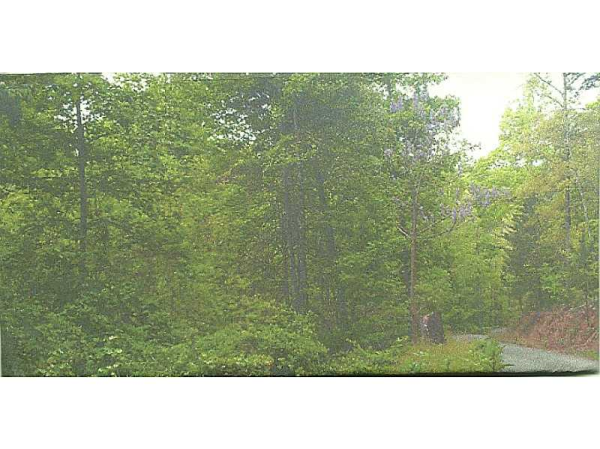 0 Tater Tot Road, Jasper, GA 30143 