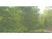 0 Tater Tot Road, Jasper, GA 30143 