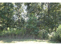 7805 Pleasant Hollow Lane, Cumming, GA 30041 