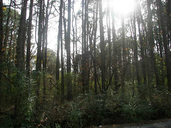 0 Jackson Lake Road, Mcdonough, GA 30252 