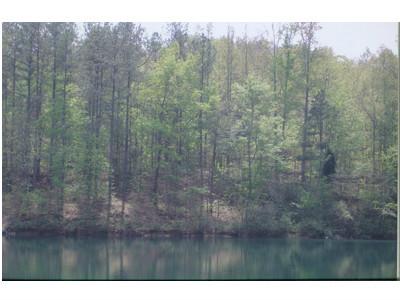 137 Galway Drive, Kingston, GA 30172 