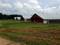 9701 Royston Highway, Royston, GA 30662 