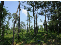 6101 Hwy 81, Loganville, GA 30052 