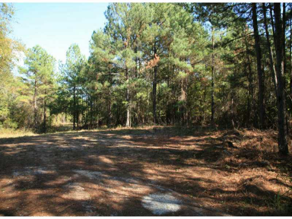 0 Mcmahon Road, Covington, GA 30014 