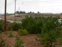 0 Hwy 129, Cleveland, GA 30528 