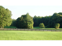 1539 Bear Creek Lot 3 Road, Moreland, GA 30259 