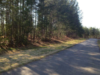 1 Reavis Mountain Road, Ball Ground, GA 30107 