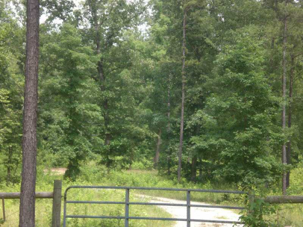 0 Tamarack Road, Shady Dale, GA 31085 