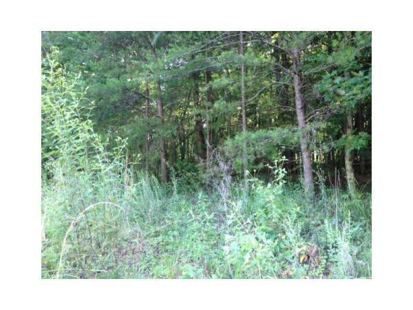 0 Highway 53, Dawsonville, GA 30534 