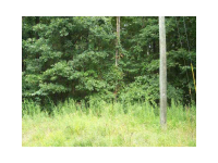 5808 Hensley Road, Lula, GA 30554 