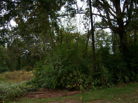 750 Lower Bethany Road, Canton, GA 30114 