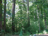 0 Campbellton Road Sw, Atlanta, GA 30311 