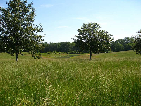 0 Dunn Road, Silver Creek, GA 30173 