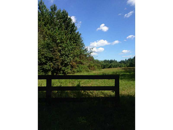 0 Whitfield Lane, Ball Ground, GA 30107 