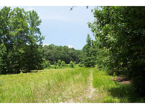 0 Black Road, White, GA 30184 