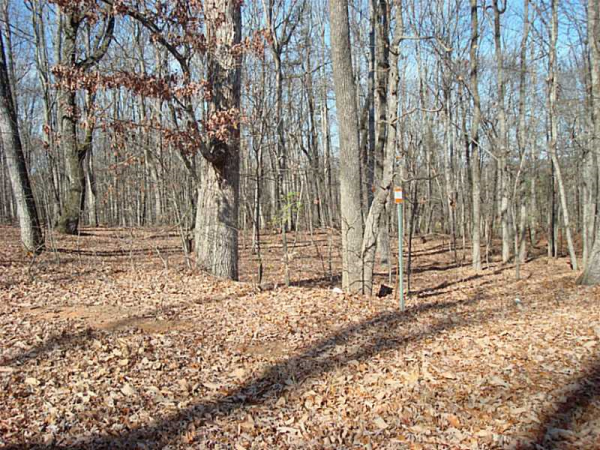 4106 Tanners Mill Road, Braselton, GA 30517 