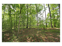 4388 Lochsa Lane, Suwanee, GA 30024 