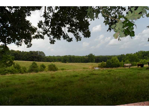 1 Mckibben Road, Buchanan, GA 30113 