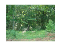 0 Henson Road, Canton, GA 30115 