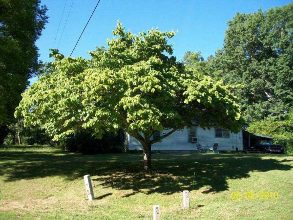 1307 Reece Road, Woodstock, GA 30188 