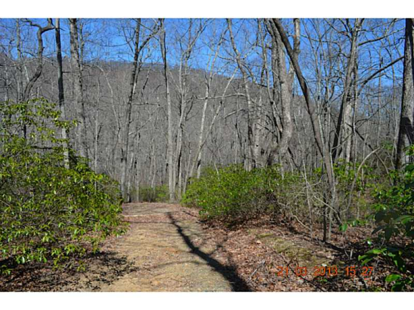 36 Sassafras Mountain Estates, Jasper, GA 30143 