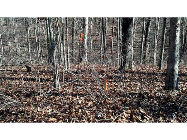 0 Grace Drive, Dawsonville, GA 30534 