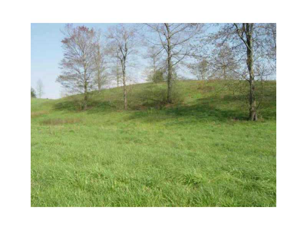 0 Etowah River Road, Dawsonville, GA 30534 