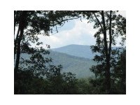 0 Black Bear Road, Dahlonega, GA 30533 